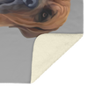 laura_Samini_1456_V_Blanket_Sherpa_Mockup.png