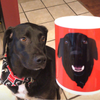 Custom Pet Print Coffee Mug Red