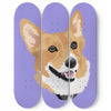 Custom Pet Print Wall Art Skateboards