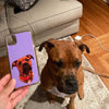 Custom Pet Print iPhone Case
