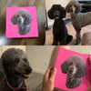 Custom Print Pet Canvas