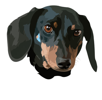 Artwork Review