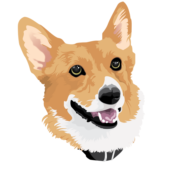 Digital High Quality Art File Of Your Pet