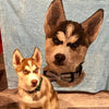 Blanket with dogs | pet blanket | blanket dog | dog portrait | dog printing | pet lovers | gifts for pet owners