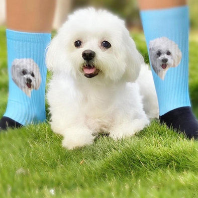 Custom Pet Print Socks