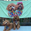 Custom Pet Print Beach Towel