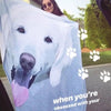 Blanket with dogs | pet blanket | blanket dog | dog portrait | dog printing | pet lovers | gifts for pet owners