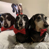 Custom Print Pet Pillow