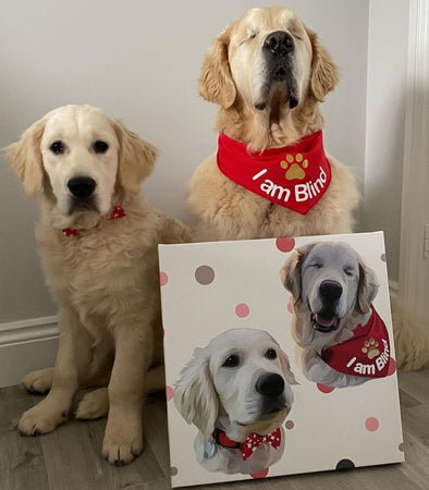 Special Background Custom Pet Print Canvas