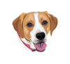 Digital High Quality Art File Of Your Pet