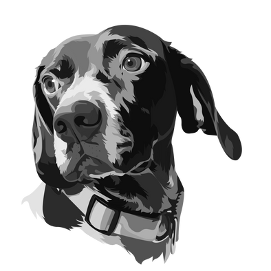 Extra Pet Art